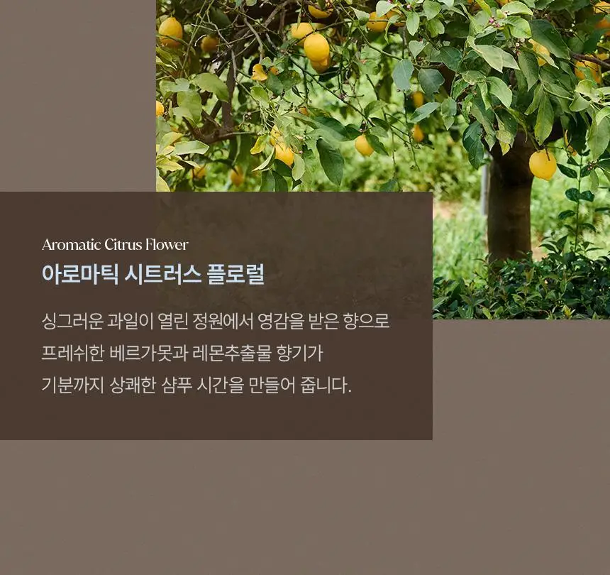[신규런칭/모발탄력개선] 이드르르 리스토어 트리트먼트 390ml 상세페이지 67